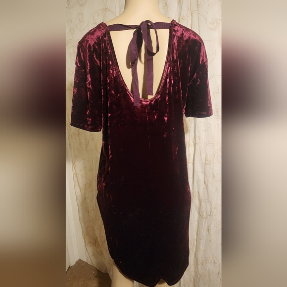 Z Supply midi dress sz L nwot - Picture 5 of 5